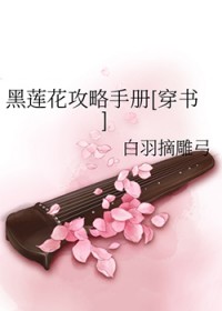 黑莲花攻略手册网盘